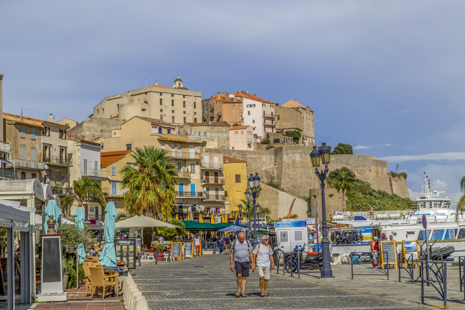 calvi, corsica, france, ,  , 